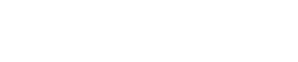 Cirrus Partner Logo